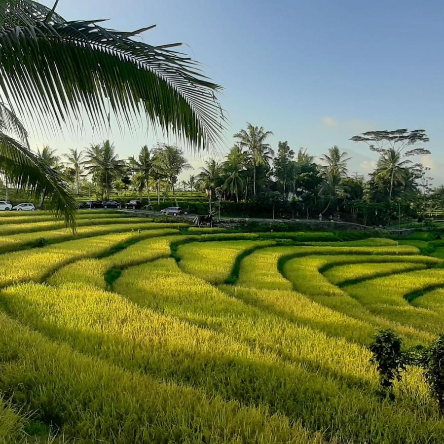 Peraja Bungalows Loyok Sangyang المظهر الخارجي الصورة