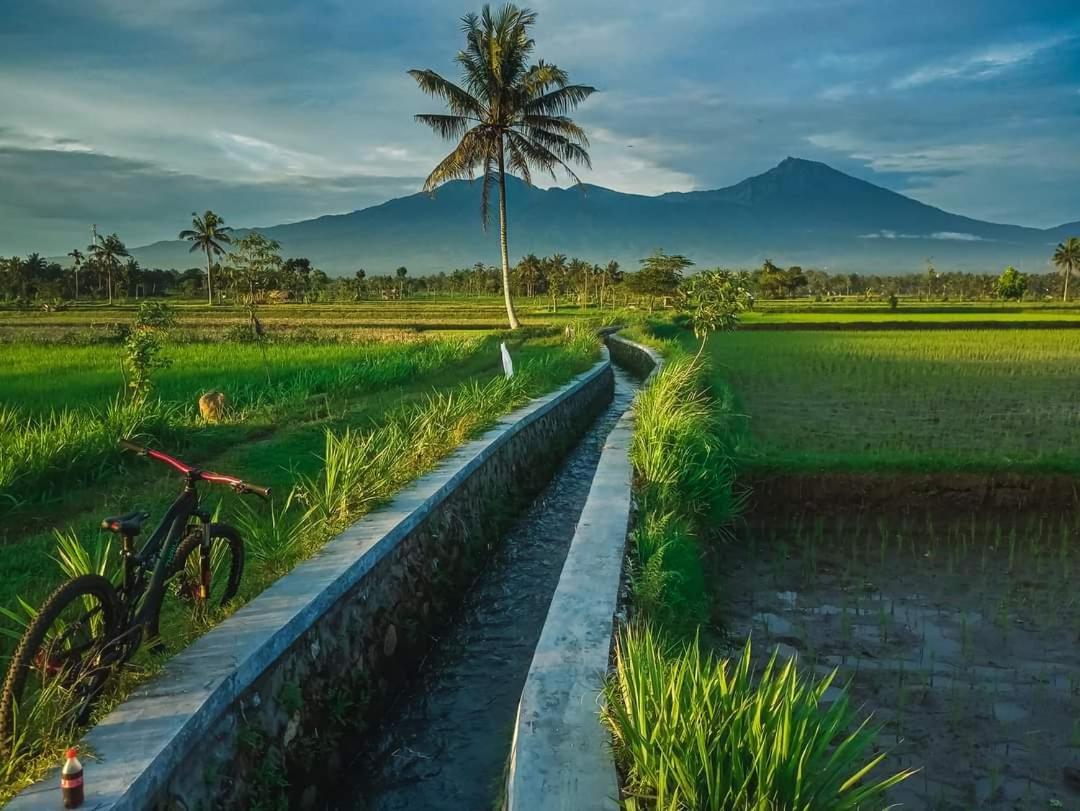 Peraja Bungalows Loyok Sangyang الغرفة الصورة