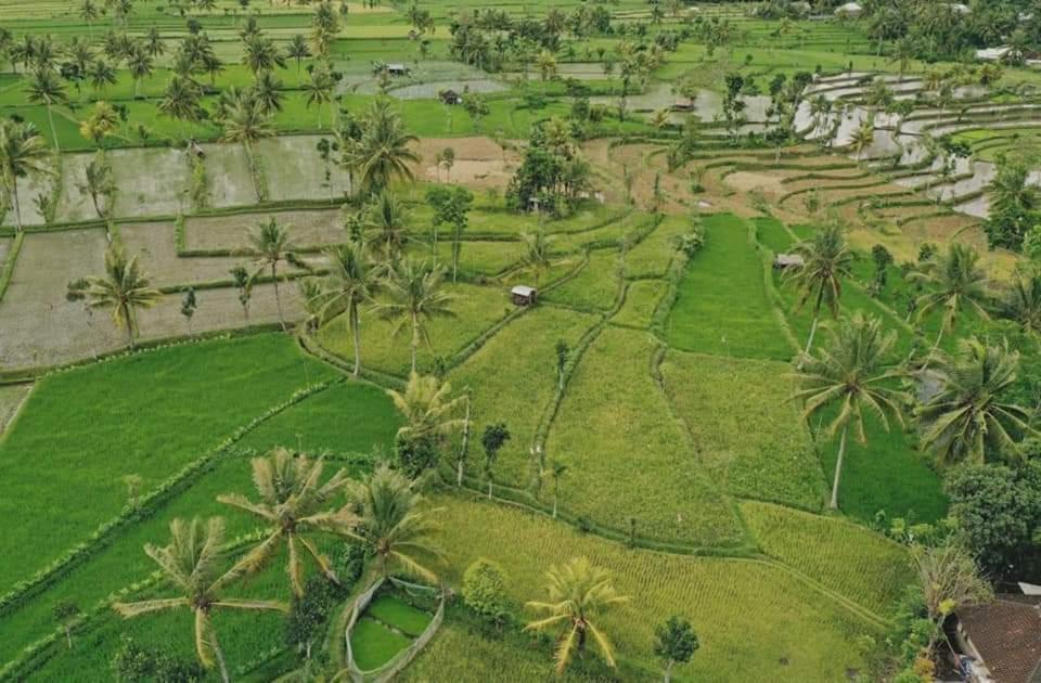 Peraja Bungalows Loyok Sangyang المظهر الخارجي الصورة