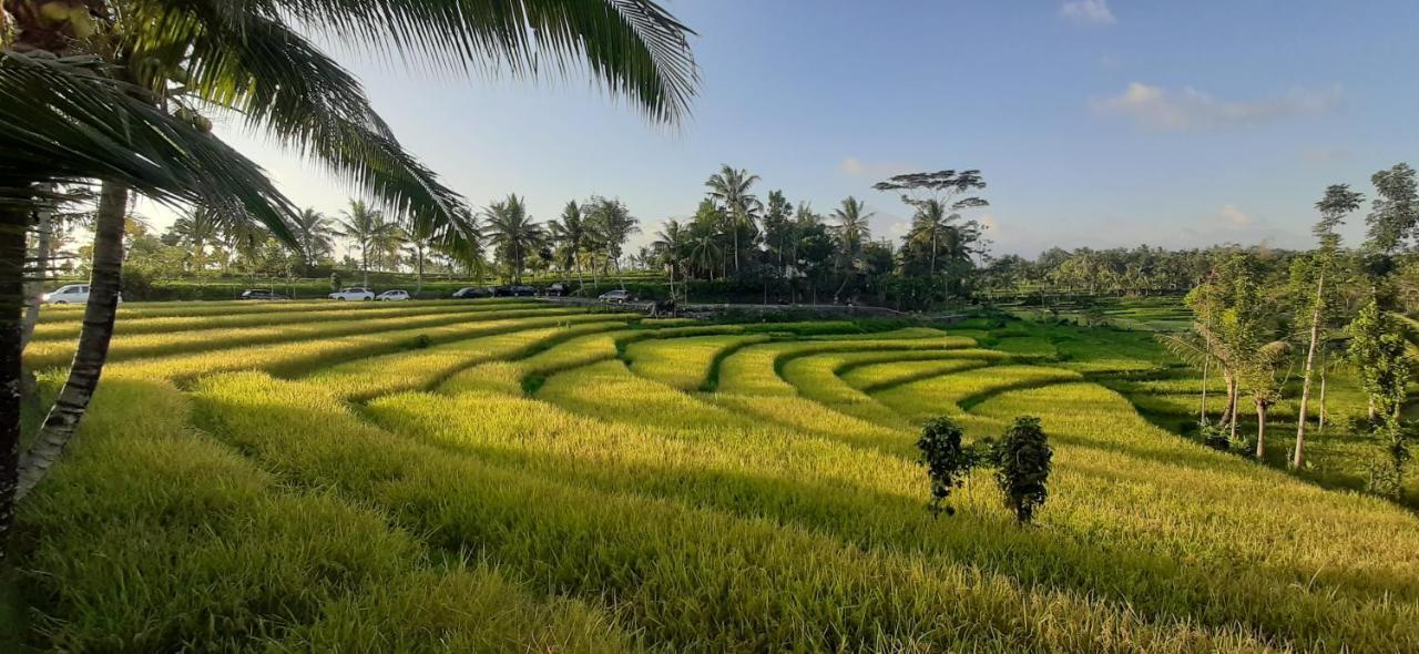 Peraja Bungalows Loyok Sangyang المظهر الخارجي الصورة